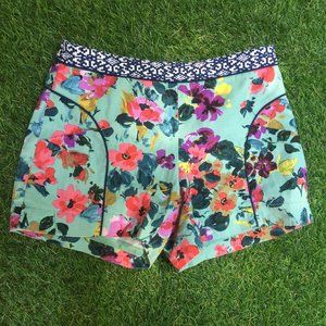Cartonnier Shorts from Anthropologie